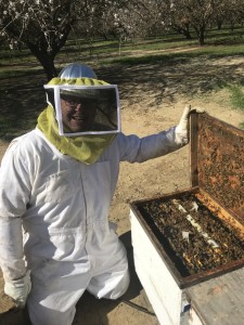 Nick VanCalCar and his beautiful bees